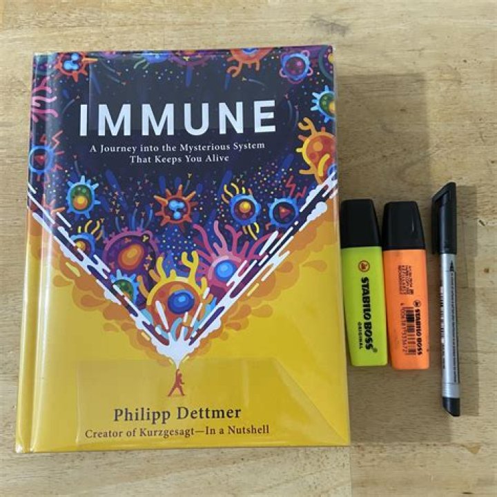 A Journey Into Identity And Experiences